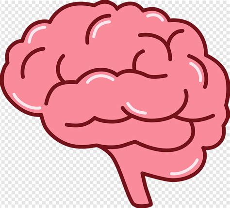 brain clip art transparent|simple brain clip art.